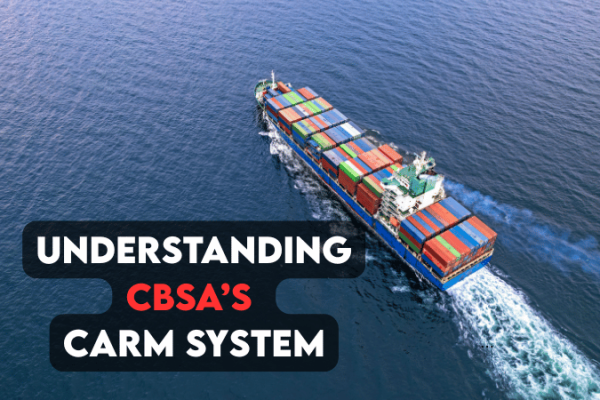 Business professional using CBSA’s CARM portal for import management.